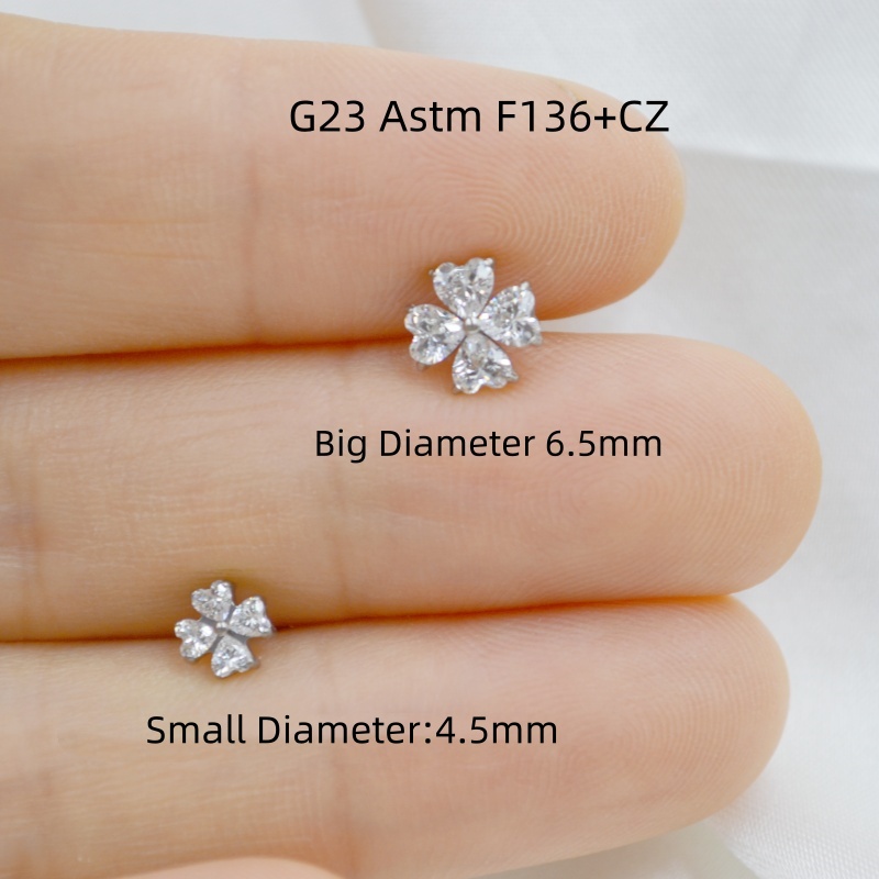 아미가티나 도매점 10개 G23 티타늄 ASTM F13 - Body Jewelry Stores 리뷰 및 가격